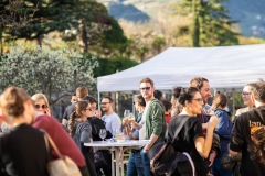 Beer Craft Fest 2018-Samstag-WEB-0360-0811