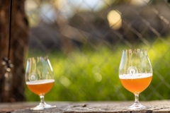 Beer Craft Fest 2018-Samstag-WEB-0379-0811