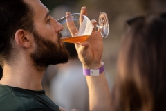 Beer Craft Fest 2018-Samstag-WEB-0502-0811